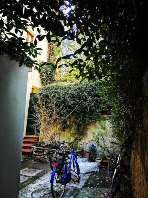 Florentine Style Apartment In San Frediano 佛罗伦萨 外观 照片